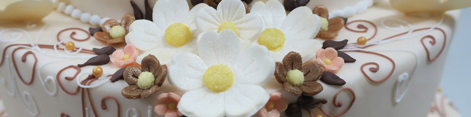 Torten von der Confiserie Steinmann